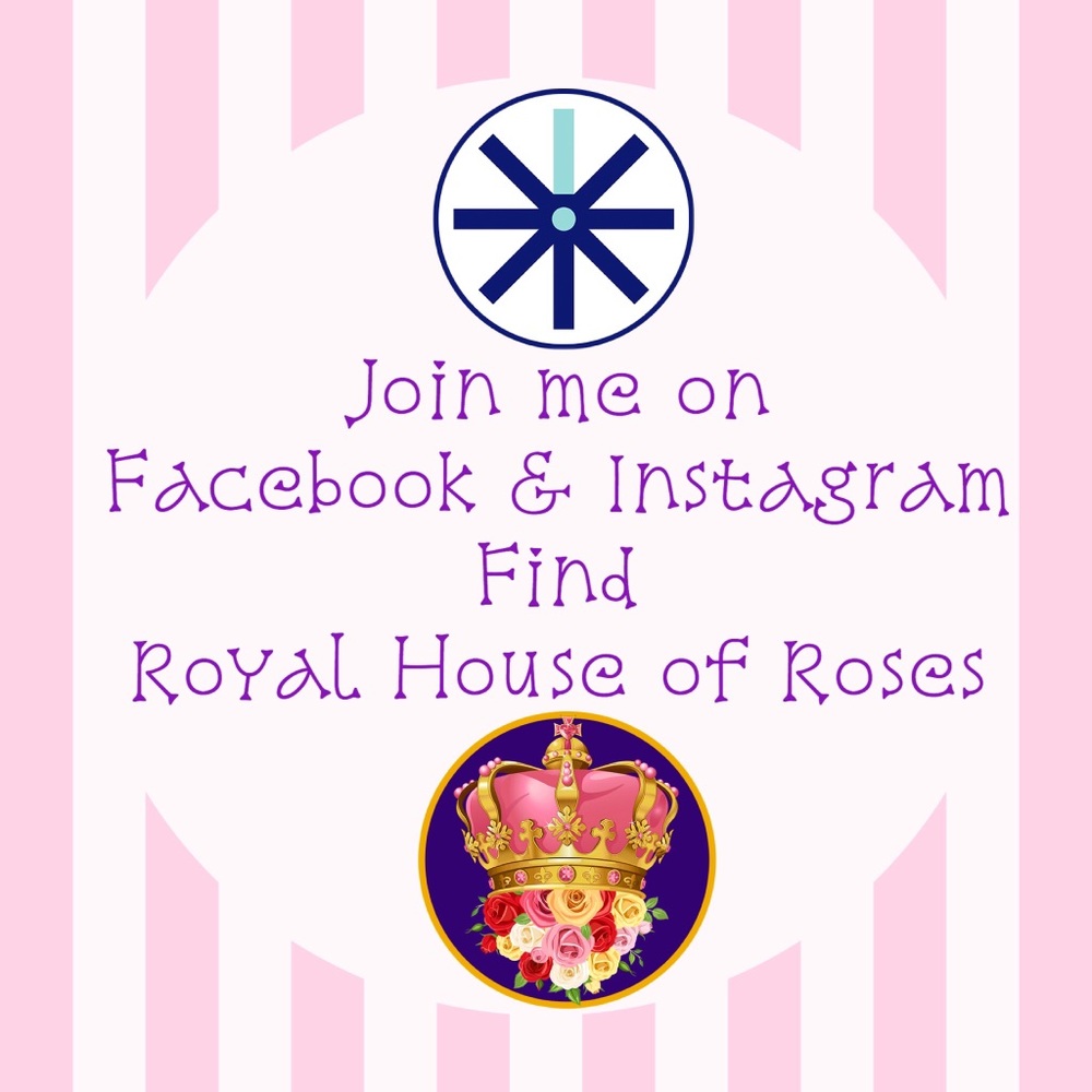 Let’s network!!!!!